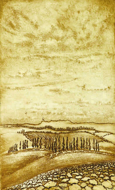 landschaft mit zypressen,toscana; landscape with cypresses 